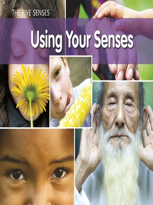 cover image of Using Your Senses